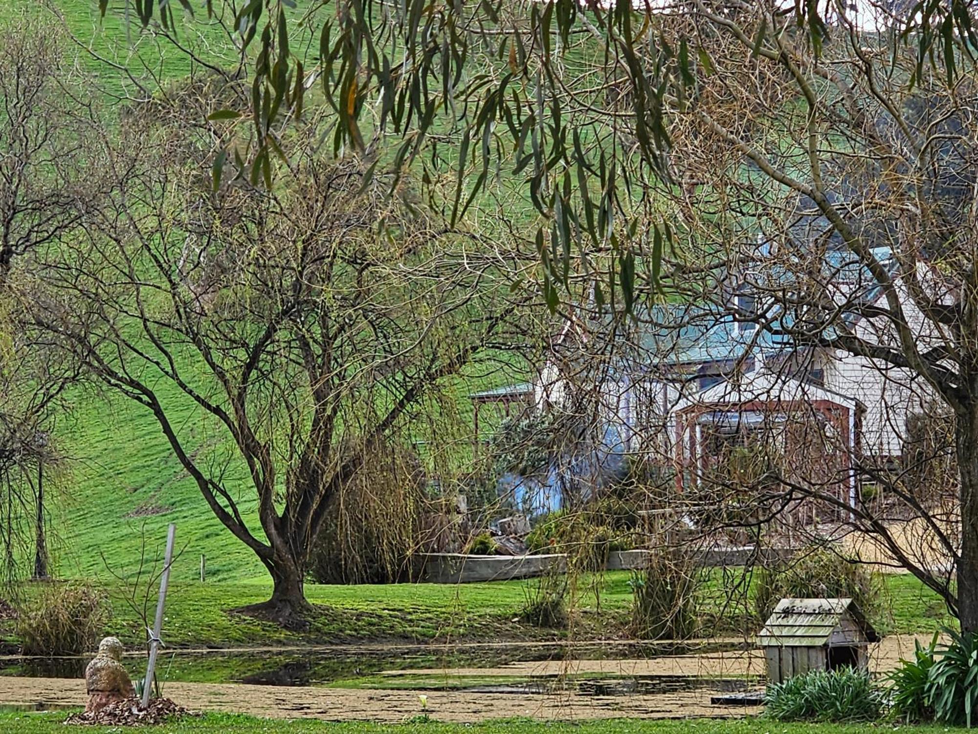 Maple Ridge Cottages Dumbalk Zewnętrze zdjęcie